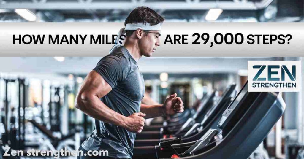 how many miles is 29000 steps